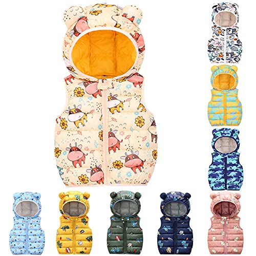Toddler Boys Girls Dinosaur Sleeveless Coat Vest Kids Lightweight Windproof Bear Ears Hooded Puffer Jacket Winter Down3