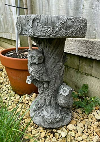 Stone Bird Bath for Garden