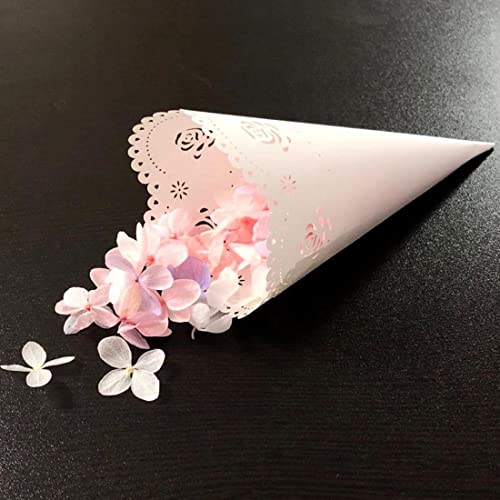 Teegxddy Confezione da 20 rotoli di carta per