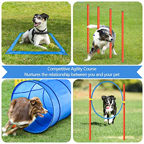 image for XiaZ Dog Agility Training Equipments, Obstacle Courses Starter Kit, Pe