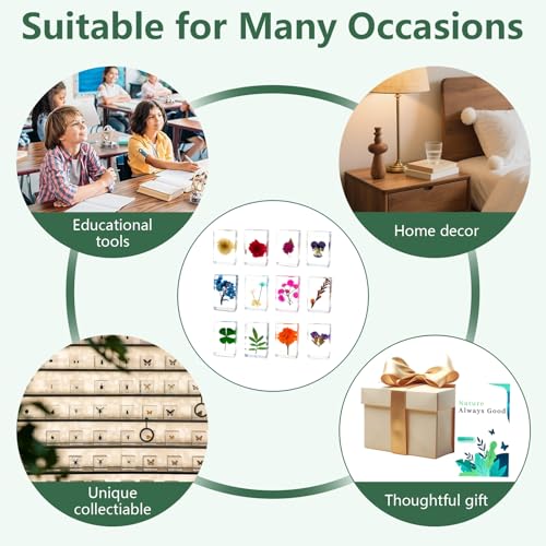 image for Mgrlfbl 12 Pcs Flower in Resin Plant Specimen Flowers Paperweight Spec