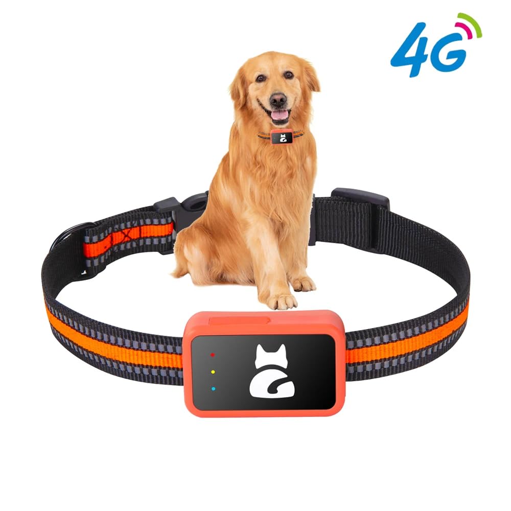 GPS-Tracker für Hunde und Katzen, wasserdicht, mit kostenloser App – Echtzeit-Tracking, Perimeter-Alarm, Verlaufsverlauf, funktioniert mit Nano-SIM-Karte 4G