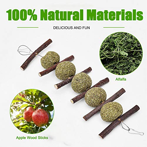 Bunny Chew Toys, 3 STKS Chew Toys voor kauwen of spelen met Apple Wood Sticks Natuurlijke Gras Cake en Gras Ball, Tanden… - Image 5
