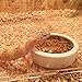 SLSON Reptile Feed Feeder Food or Water Ceramics Bowl Tray Worm Dish Mealworm Dish for Lizard Gecko Bearded Dragon Terrestrial Animals, Medium