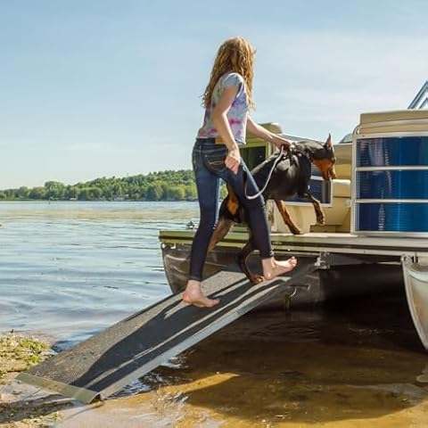 Harbor Mate PBR6 6' L x 24" W Pontoon Boat Ramp - 600 lb. Capacity Cover