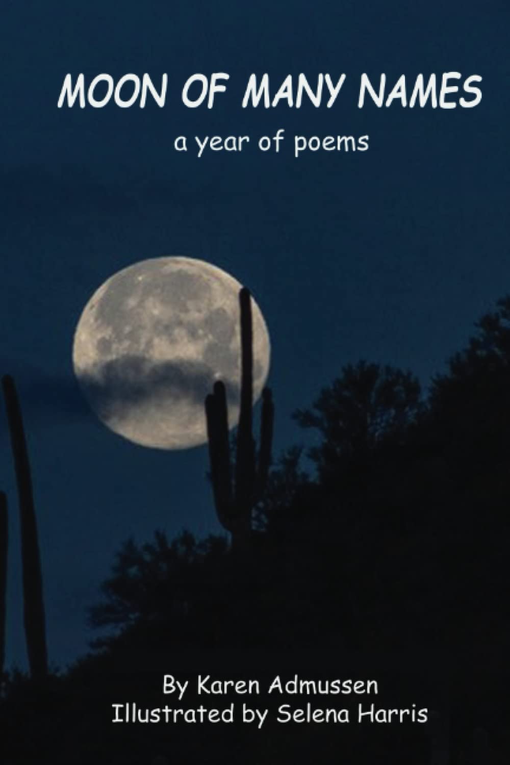Moon of Many Names: a year of poems