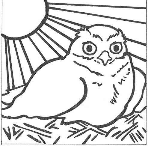 PaintaDoodle 12 x 12 Burrowing Owl Painting Kit