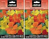 Batlle Capucine GRIMPANTE (Lot de 2)