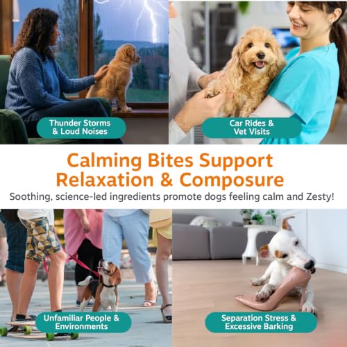 Image of Zesty Paws Calming Chews for Dogs - for Everyday Stress, Relaxation, Composure, and Separation, Puppy Bites Turkey 90 Count