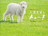 人生を楽しメェ~! 動物に学ぶ人生のヒント
