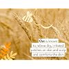 Babo Botanicals Moisturizing Oat & Calendula Conditioner Silicone-Free, Lightly Scented Formula for Dry or Sensitive Hair Gentle for Baby, Toddler, Kids & Family Vegan
