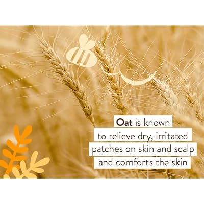 Babo Botanicals Moisturizing Oat & Calendula Conditioner Silicone-Free, Lightly Scented Formula for Dry or Sensitive Hair Gentle for Baby, Toddler, Kids & Family Vegan