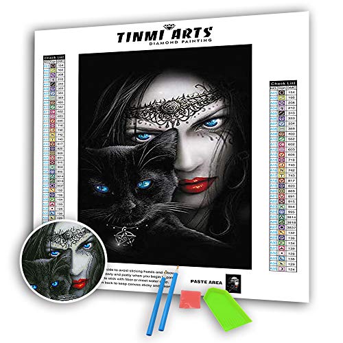 TINMI ARTS 5D DIY Diamond Painting Kits Full Drill Round Gems Cross Stitch Pattern Rhinestone Embroidery Kits Arts Craft Supply Painting for Living Room[16"x24" Blue Eyes]