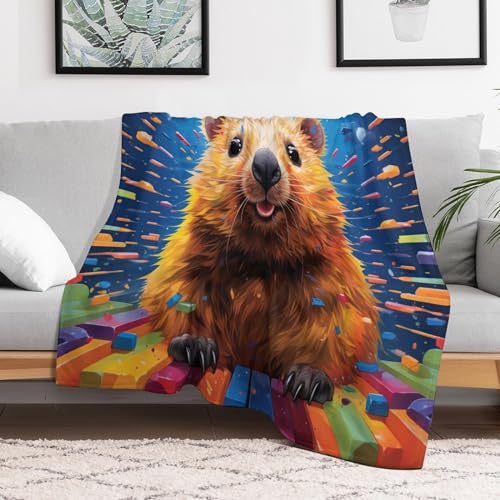 Couverture canapé hamster moelleuse pour cocooning au bureau - 3