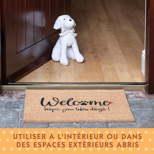 Tapis coco extérieur grattant pour entrée maison 60 x 40 cm - 7