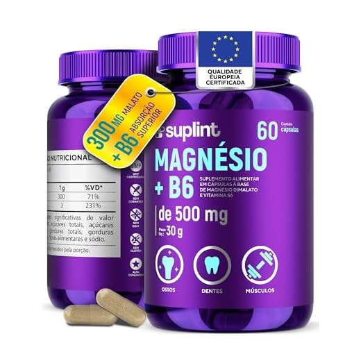 Dimalato De Magnésio Com Vitamina B6