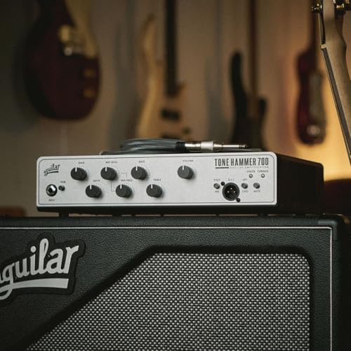 Seymour Duncan PowerStage 700-700-Watt Bass Amp Head