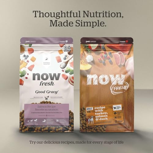 Image of Now Fresh Grain-Free Premium Dry Dog Food with Lamb & Pork, Healthy Kibble for Adults Made with Real Red Meat, Chicken-Free Recipe, Enhanced with Pumpkin & Probiotics for Good Digestion, 22 lb Bag