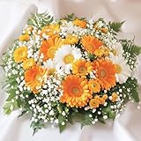 【京花伝】 生花 フラワーアレンジメント イエロー オレンジ虹色 京都70年以上老舗 デザイナー 大切な人 記念日 プレゼント インテリア 母の日 (XLサイズ)