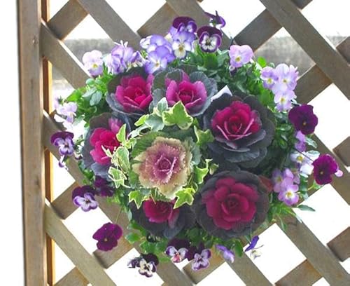  t{^̃nMOoXPbg񂹐A[ڂ댎]MTCYtO rI  ߓ ߏ ߓ O   m  n{^ ɐ ԃAWg [X _  ~ oXPbg  t[Mt