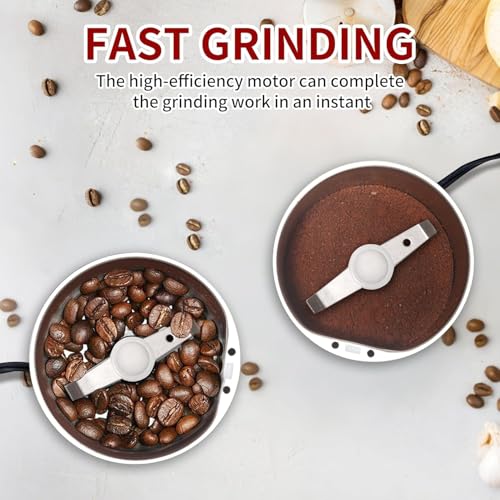 Image of Grinder Electric 300W for Dry Spice Masala Herbs & Coffee Bean with 8 Stainless Steel Blade & High Speed Motor | Portable One-Touch Push Button