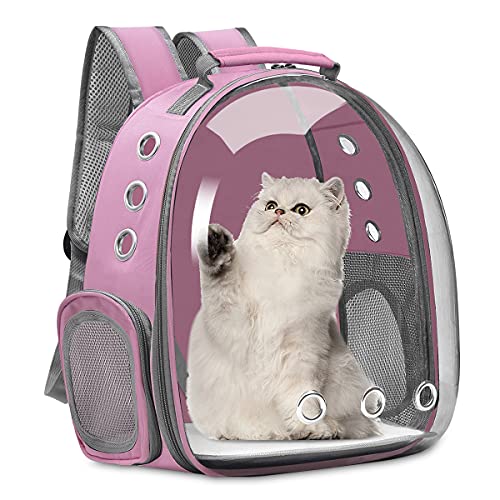 TrutDot L L[obO Lp FDJvZ^ bNTbN  o ʋC e ϋv@S ܂肽 pbht MsN