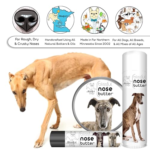 Image of The Blissful Dog Greyhound Unscented Nose Butter - Dog Nose Butter, 2 Ounce