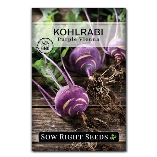 Sow Right Seeds Purple Vienna Kohlrabi