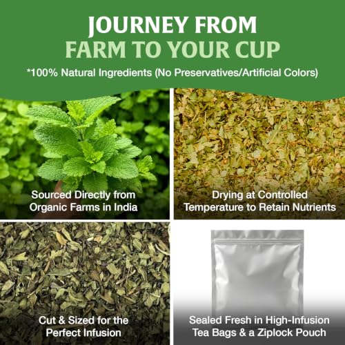 Image of HANDPICK Lemon Balm Tea (40 Tea Bags) 100% Pure & Natrually Dried Leaf Tea