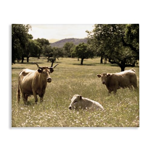 'Three Cattle Relaxing Grassland Pasture Rural'| Canvas Art