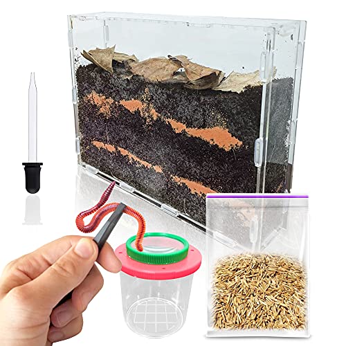 10 Best Worm Farm Kit Picks For 2021 D and T Custom Gunworks