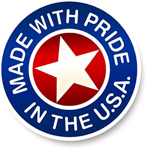 Houston, Texas City Magnet by Classic Magnets, Collectible Souvenirs Made in The USA, 4.2" x 3.1"