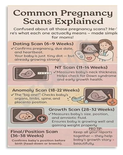 Baby Bump Growth Poster Pregnancy Progression Wall Art for Parents to Be Canvas Print Nursery Room Decor Living Room Bedroom(Unf