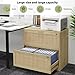 HOPUBUY 2 Drawer File Cabinet with Lock, Printer Stand Lateral Filing Cabinets for Home Office and School, Wood Rattan File Cabinet for Hanging Files/Letter/Legal/A4/F4 Size, Oak