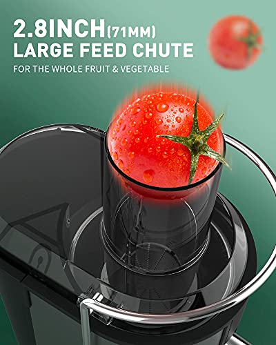 https://m.media-amazon.com/images/I/51htCwlyoFS._SL500_.jpg