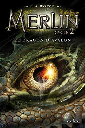 Télécharger Merlin, cycle 2 : Le Dragon d'Avalon PDF Ebook En Ligne