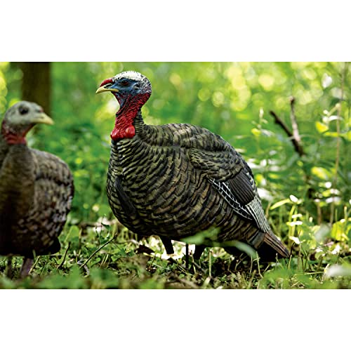 Snapklik.com : AVIAN-X LCD Jake Quarter Strut Durable Realistic ...
