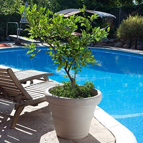 Home | Crescent Garden B08815M150 Ridge Planter Indigo 15 Inch at Plaza Las Americas in San Juan, PR