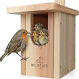 wildtier liebe Pájaro nido de petirrojos de madera maciza, resistente a la intemperie