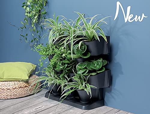 3Pcs Jardinières Murales Pots De Fleurs Muraux Métal Porte-Plante Suspendus Avec Corde Planteur