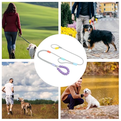 Laisse pour chien réglable et rembourrée pour une randonnée confortable