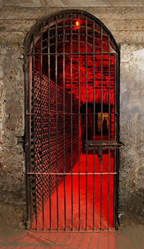 Concha y Toro Diablo Dark Red Halbtrocken (1 x 0.75l)