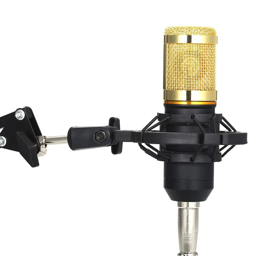 Kondensatormikrofon-Kit BM-800 Mikrofon-Set mit verstellbarem Mikrofon-Aufhängung, Scherenarm, Metallstoßhalterung und doppellagigem Pop-Filter für Studioaufnahmen, Rundfunk (Schwarz + Silber)