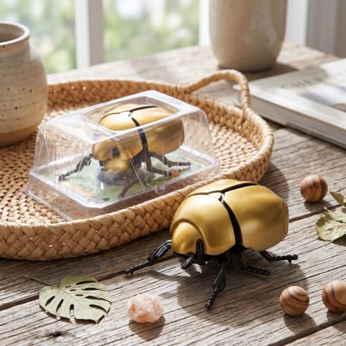 Wind-Up Crawling Scarab Insect Model with Sealed Transparent Display Case, Solid Metallic Tone Bug Sculpture for Apartment Bedroom Desktop Adult Collectible Art Furnishing (Golden)