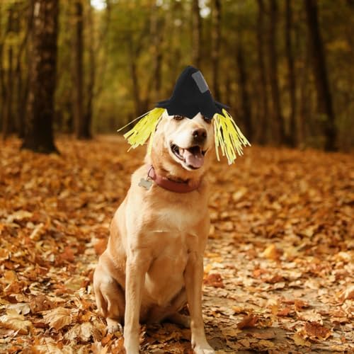 Sombrero de espantapájaros Halloween para perro tamaño grande miniatura 5