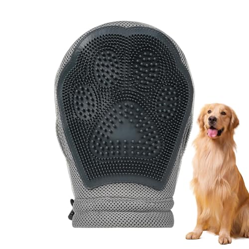 TQEBWUS ybg wA [o O[u,ybg̖ё| | q~g -  Lv T Pl J[ybg \t@ ߕ Ƌ  ƒ p