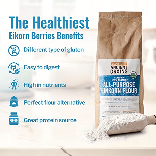 Grand Teton Ancient Grains - 100% Organic All-Purpose Einkorn Flour, Einkorn Flour Organic & Non-Gmo, Einkorn Flour, Rich In Vitamins & Minerals, Unbleached Einkorn Grain Flour, 5 Lbs #TOP3
