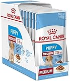 Royal Canin Medium Puppy Junior Nassfutter für Hunde, 40 Packungen à 140 g, für Welpen und junge Hunde mittlerer Rassen, 11-25 kg, bis 12 Monate