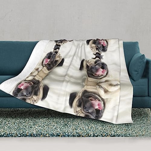 Couverture flanelle imprimé chien pour accompagner vos voyages et salons