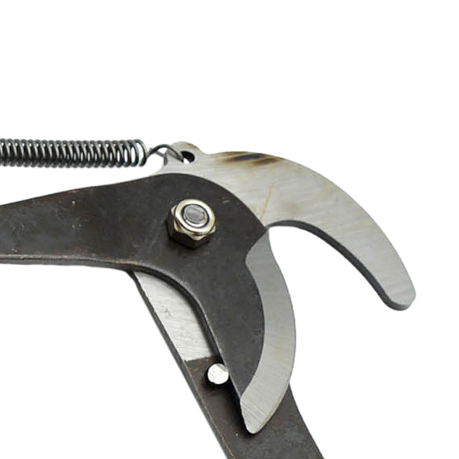 TRENDIVIBE High Altitude Pruning Shear Tree Branch Scissors for Cutting Branches Garden Black-image-25